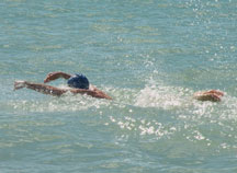 Frank Swimming